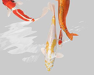 《上古OL》开发商被砍掉的《黑鸟》2分钟片段曝光